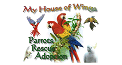 Desktop Screenshot of myhouseofwings.net